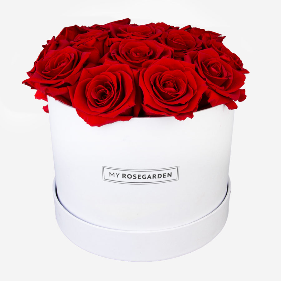 16 rote Infinity Rosen in weißer Rosenbox