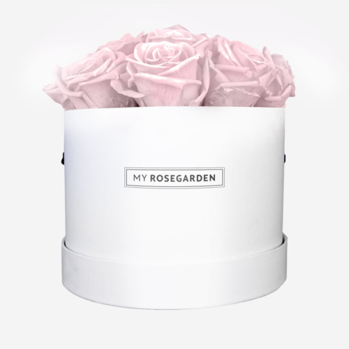 Weiße Rosenbox mit 16 Rosa Infinity Rosen - My Rosegarden