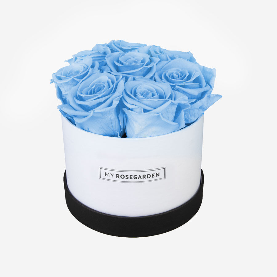 8 hellblaue Infinity Rosen in weiß-schwarzer Rosenbox - My Rosegarden