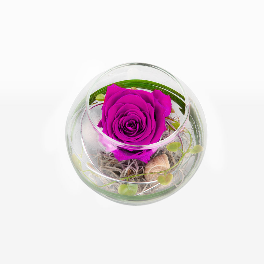 1 pinke Infinity Rose im Glas