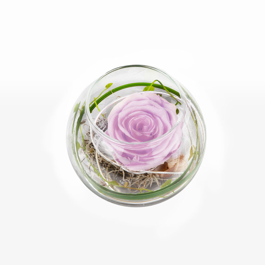 1 rosa Infinity Rose im Glas