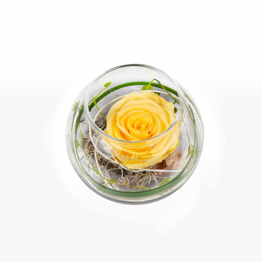1 gelbe Infinity Rose im Glas